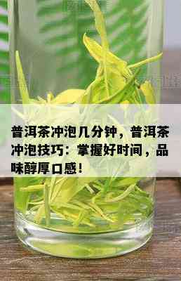 普洱茶冲泡几分钟，普洱茶冲泡技巧：掌握好时间，品味醇厚口感！