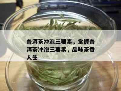 普洱茶冲泡三要素，掌握普洱茶冲泡三要素，品味茶香人生