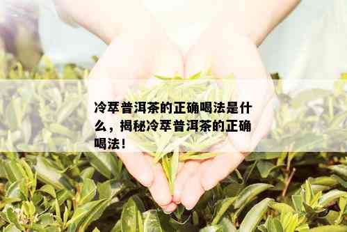 冷萃普洱茶的正确喝法是什么，揭秘冷萃普洱茶的正确喝法！