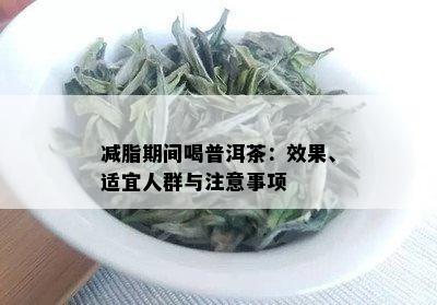 减脂期间喝普洱茶：效果、适宜人群与注意事项