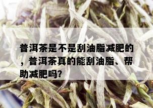 普洱茶是不是刮油脂减肥的，普洱茶真的能刮油脂、帮助减肥吗？