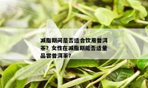 减脂期间是否适合饮用普洱茶？女性在减脂期能否适量品尝普洱茶？