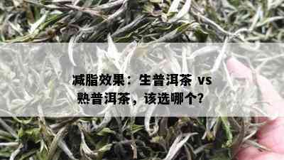 减脂效果：生普洱茶 vs 熟普洱茶，该选哪个？