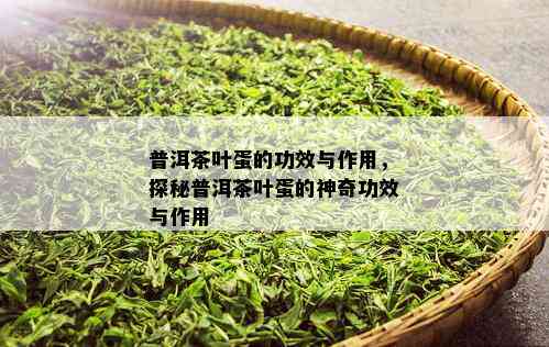 普洱茶叶蛋的功效与作用，探秘普洱茶叶蛋的神奇功效与作用