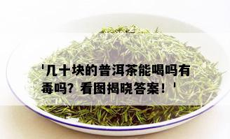 '几十块的普洱茶能喝吗有吗？看图揭晓答案！'