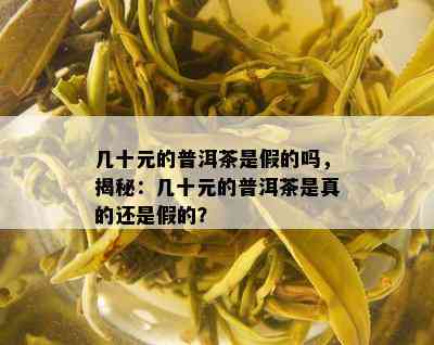 几十元的普洱茶是假的吗，揭秘：几十元的普洱茶是真的还是假的？