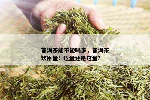 普洱茶能不能喝多，普洱茶饮用量：适量还是过量？