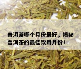 普洱茶哪个月份更好，揭秘普洱茶的更佳饮用月份！