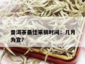 普洱茶更佳采摘时间：几月为宜？