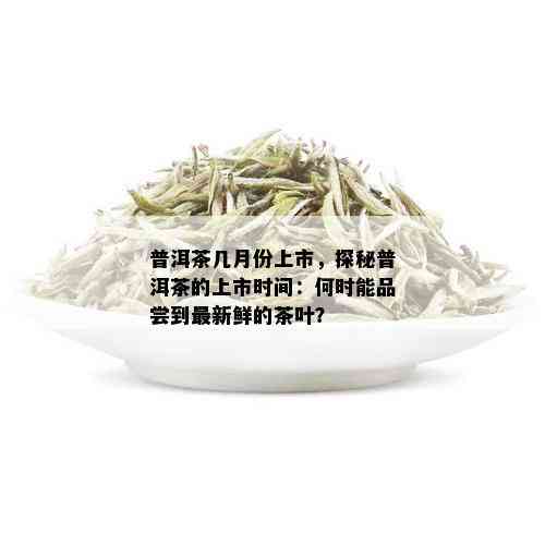 普洱茶几月份上市，探秘普洱茶的上市时间：何时能品尝到最新鲜的茶叶？