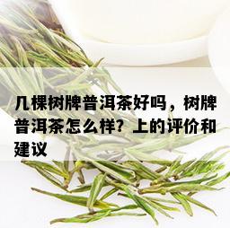 几棵树牌普洱茶好吗，树牌普洱茶怎么样？上的评价和建议