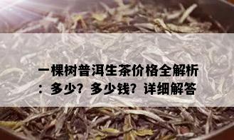 一棵树普洱生茶价格全解析：多少？多少钱？详细解答