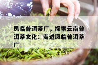 凤临普洱茶厂，探索云南普洱茶文化：走进凤临普洱茶厂