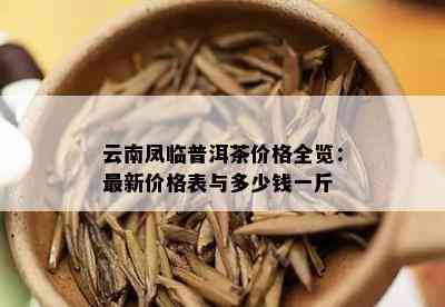 云南凤临普洱茶价格全览：最新价格表与多少钱一斤