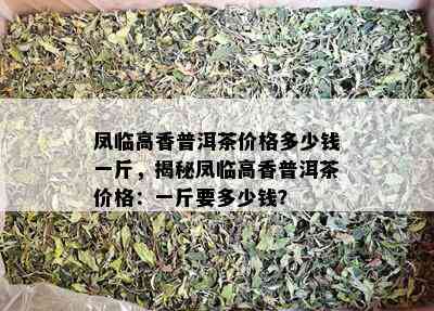 凤临高香普洱茶价格多少钱一斤，揭秘凤临高香普洱茶价格：一斤要多少钱？