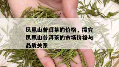 凤凰山普洱茶的价格，探究凤凰山普洱茶的市场价格与品质关系