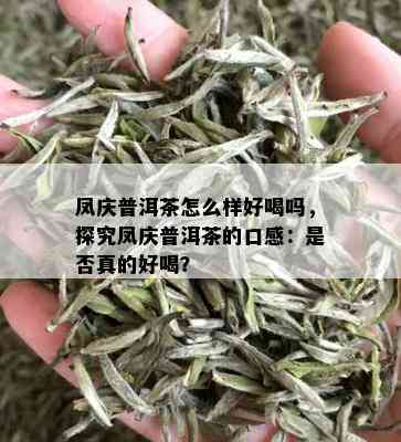 凤庆普洱茶怎么样好喝吗，探究凤庆普洱茶的口感：是否真的好喝？