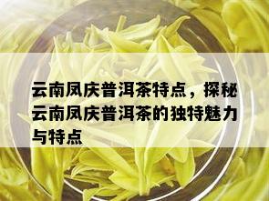 云南凤庆普洱茶特点，探秘云南凤庆普洱茶的独特魅力与特点