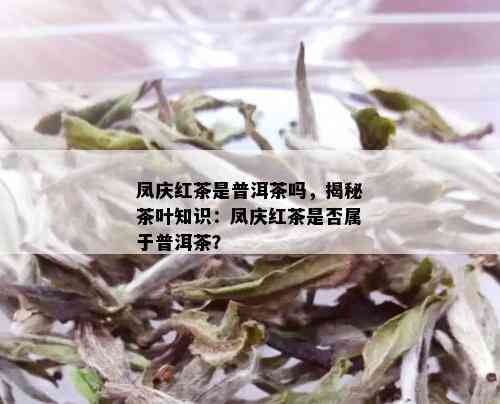 凤庆红茶是普洱茶吗，揭秘茶叶知识：凤庆红茶是否属于普洱茶？