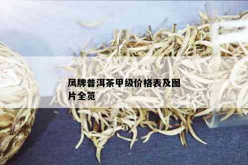 凤牌普洱茶甲级价格表及图片全览