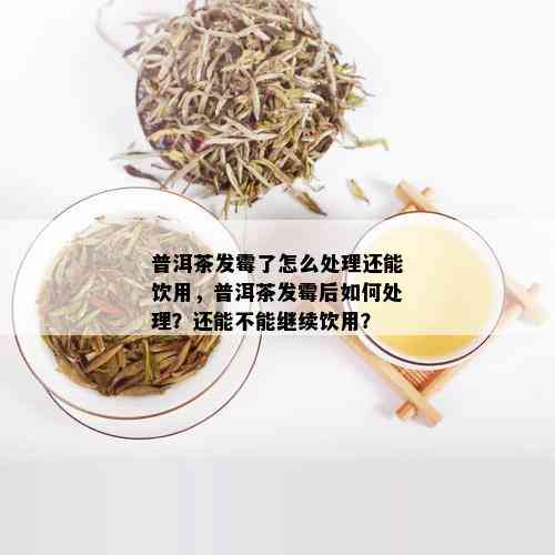 普洱茶发霉了怎么处理还能饮用，普洱茶发霉后如何处理？还能不能继续饮用？