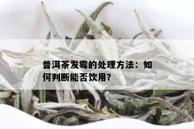 普洱茶发霉的处理方法：如何判断能否饮用？