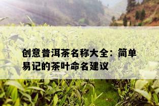 创意普洱茶名称大全：简单易记的茶叶命名建议