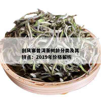 刮风寨普洱茶树龄分类及其特点：2019年价格解析