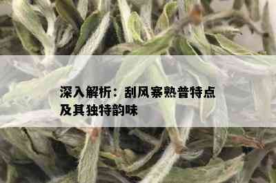 深入解析：刮风寨熟普特点及其独特韵味