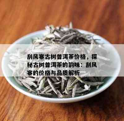 刮风寨古树普洱茶价格，探秘古树普洱茶的韵味：刮风寨的价格与品质解析