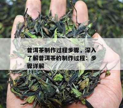 普洱茶制作过程步骤，深入了解普洱茶的制作过程：步骤详解