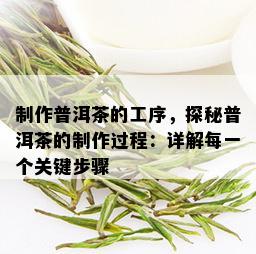 制作普洱茶的工序，探秘普洱茶的制作过程：详解每一个关键步骤