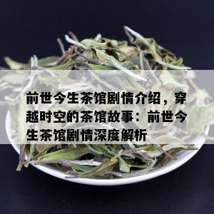 前世今生茶馆剧情介绍，穿越时空的茶馆故事：前世今生茶馆剧情深度解析