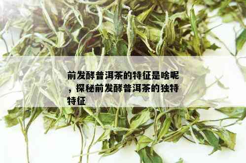 前发酵普洱茶的特征是啥呢，探秘前发酵普洱茶的独特特征