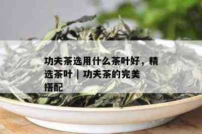 功夫茶选用什么茶叶好，精选茶叶 | 功夫茶的完美搭配