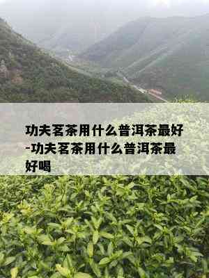 功夫茗茶用什么普洱茶更好-功夫茗茶用什么普洱茶更好喝