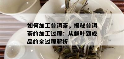 如何加工普洱茶，揭秘普洱茶的加工过程：从鲜叶到成品的全过程解析