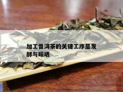 加工普洱茶的关键工序是发酵与晾晒