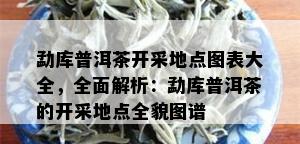 勐库普洱茶开采地点图表大全，全面解析：勐库普洱茶的开采地点全貌图谱