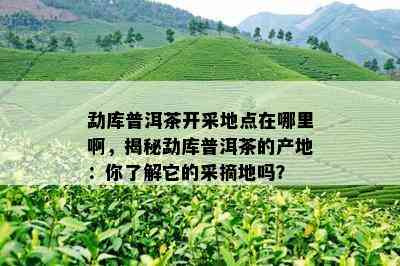 勐库普洱茶开采地点在哪里啊，揭秘勐库普洱茶的产地：你了解它的采摘地吗？