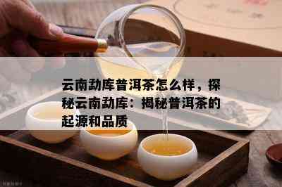 云南勐库普洱茶怎么样，探秘云南勐库：揭秘普洱茶的起源和品质