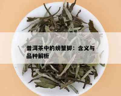 普洱茶中的螃蟹脚：含义与品种解析