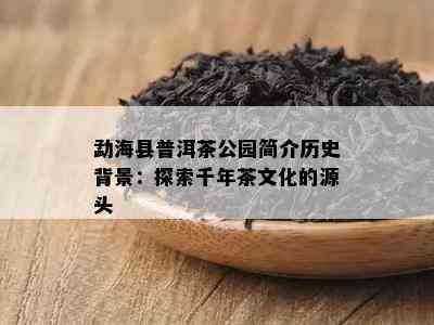 勐海县普洱茶公园简介历史背景：探索千年茶文化的源头