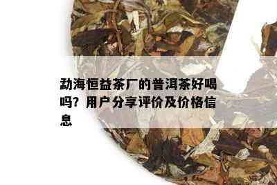 勐海恒益茶厂的普洱茶好喝吗？用户分享评价及价格信息