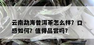 云南勐海普洱茶怎么样？口感如何？值得品尝吗？