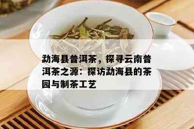 勐海县普洱茶，探寻云南普洱茶之源：探访勐海县的茶园与制茶工艺