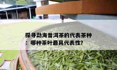 探寻勐海普洱茶的代表茶种：哪种茶叶更具代表性？