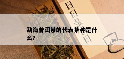 勐海普洱茶的代表茶种是什么？