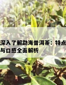 深入了解勐海普洱茶：特点与口感全面解析