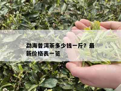 勐海普洱茶多少钱一斤？最新价格表一览